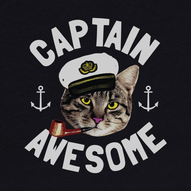 Captain Awesome by toddgoldmanart